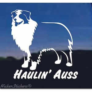 May include: White silhouette of an Australian Shepherd dog with the text "Haulin' Auss" underneath. The image is on a blue background.