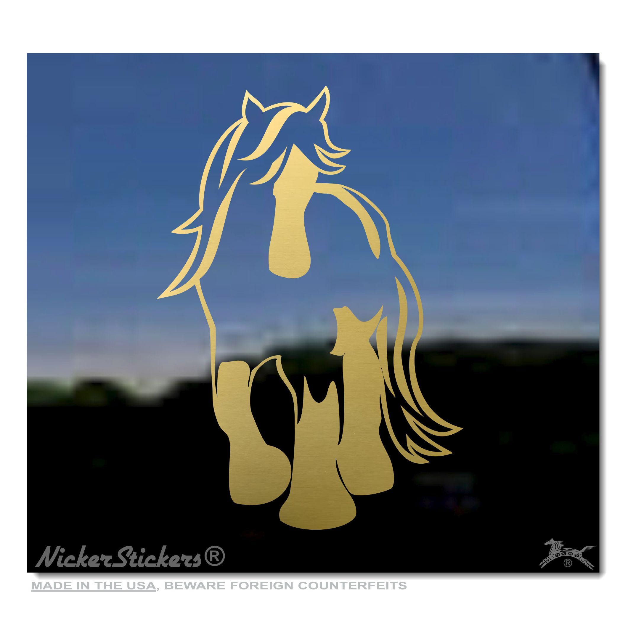 Cavallo Zingaro Immagini E Fotografie Stock Ad Alta Risoluzione - Foto 6