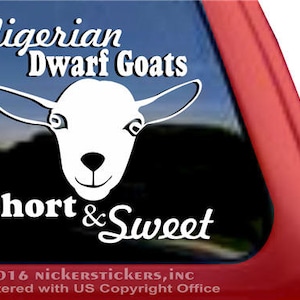 Nigerian Dwarf Goats, Short & Sweet | DC104SP1 | High Quality Adhesive Vinyl Nigerian Dwarf Goat Window Decal Sticker