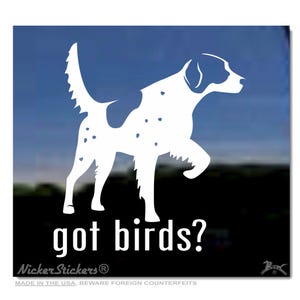 Got Birds? | High Quality Adhesive Vinyl English Setter Window Decal Sticker