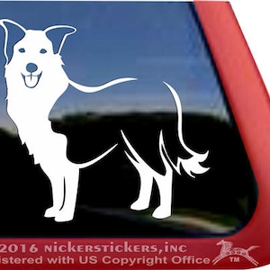 Könnte beinhalten: Weiße Silhouette eines Border Collie Hundes, der auf einem schwarzen Hintergrund steht. Der Hund blickt nach rechts und hat seinen Schwanz eingerollt.