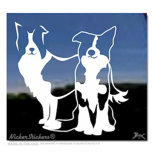 Custom Pair of Border Collies | High Quality Adhesive Vinyl Window Decal Sticker