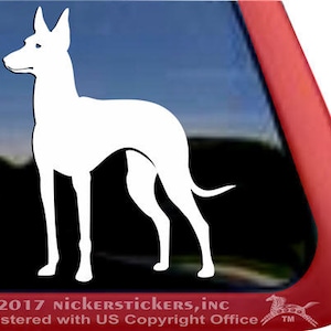 Cute Pharaoh Hound Decal | DC1175PL | High Quality Adhesive Vinyl Window Decal Sticker