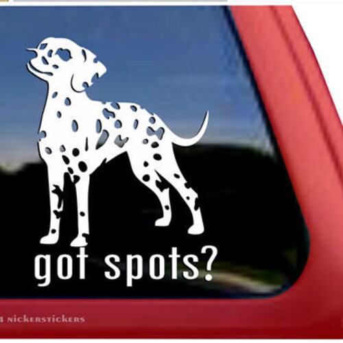 Dalmatian DC340PL High Quality Adhesive Vinyl Dalmatian Etsy