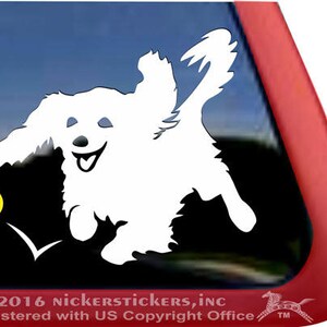 Cavalier King Charles Spaniel Chasing Ball | DC1081BALL | High Quality Adhesive Vinyl Window Decal Sticker