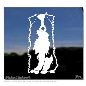 Peut inclure: Silhouette blanche d'un chien Border Collie debout sur un fond bleu. Le chien est face à l'avant, la queue enroulée derrière les pattes. L'image comprend le texte "Nicker Stickers" et "Made in the USA, Beware Foreign Counterfeits".