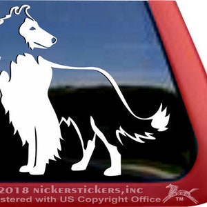 Cute Rough Collie Decal / DC548PL / Adesivo adesivo adesivo per finestre in vinile di alta qualità