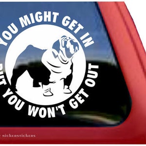 You Might Get In, But You Won’t Get Out | DC326OUT | High Quality Adhesive Vinyl Window Decal Sticker