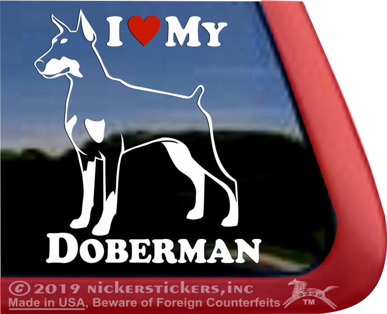 I Love My Doberman! DC1299HEA High Quality Adhesive Vinyl Window Decal Sticker