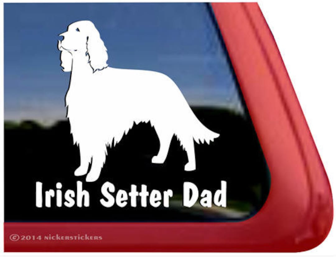Irish setter 8365 sale