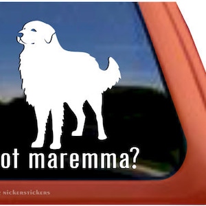 Tem Maremma? | DC869GOT | Adesivo de decalque de janela de vinil adesivo de alta qualidade
