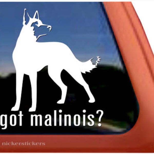 Haben Sie einen Malinois? | Hochwertiger, selbstklebender Vinyl-Fensteraufkleber mit belgischem Malinois-Motiv