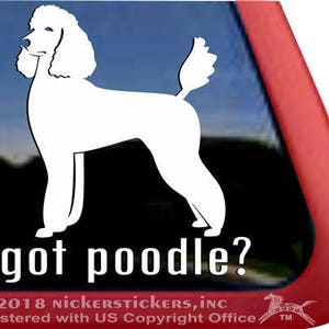 Got Poodle? | DC1101GOT | High Quality Adhesive Vinyl Standard Poodle Window Decal Sticker