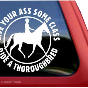 Give Your Ass Some Class | DC238CLA | High Quality Adhesive Vinyl Thoroughbred Horse Window Decal Sticker
