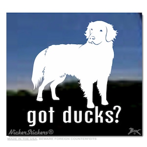 Got Ducks?  High Quality Adhesive Nova Scotia Duck Tolling Retriever Vinyl Window Decal Sticker