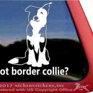 Könnte beinhalten: Weiße Silhouette eines Border Collie Hundes, der mit hochgestellten Ohren sitzt. Der Text "got border collie?" befindet sich unter dem Hund.