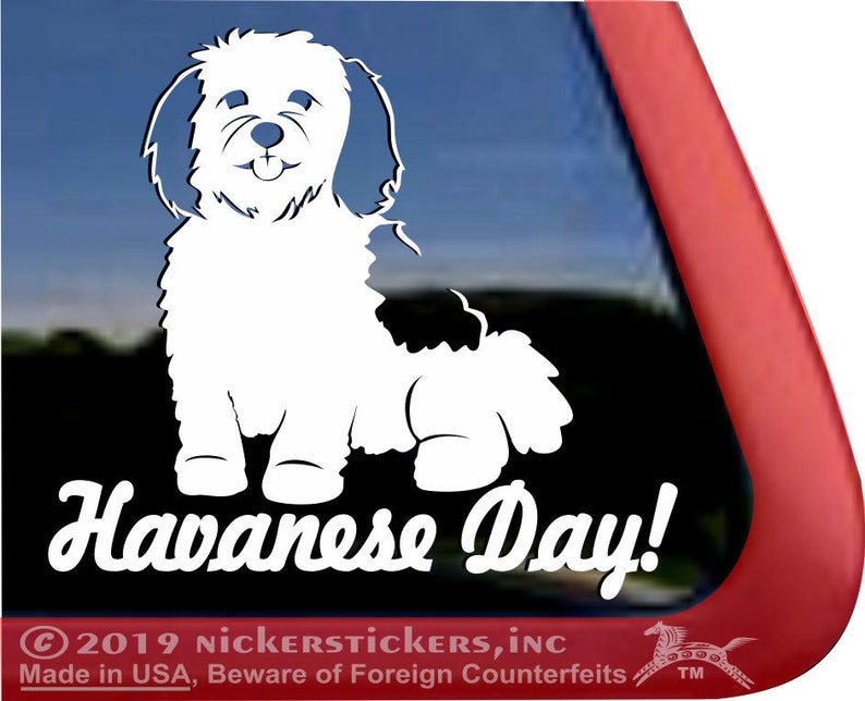 Havanese Day DC301SP1 High Quality Adhesive Vinyl Window Decal Sticker image 1