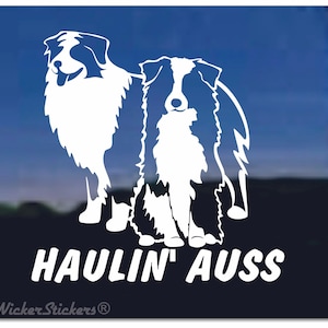 May include: White silhouette of two Australian Shepherd dogs standing side-by-side. The text "HAULIN' AUSS" is below the dogs.