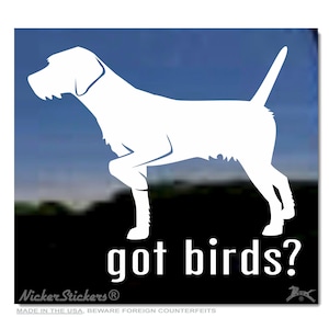 May include: White silhouette of a dog with the text "got birds?" below. The dog is standing with its head turned to the left and its tail raised.