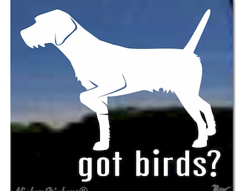 Got Birds? | NickerStickers® Quality Adhesive Vinyl German Wirehaired Pointer Vinyl Window Decal Sticker