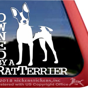 Owned By A Rat Terrier | DC1018OWN | High Quality Adhesive Vinyl Window Decal Sticker