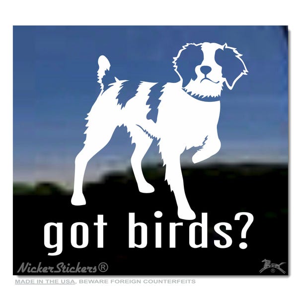 Haben Sie Vögel? | Qualität klebender Vinyl amerikanischer Bretagne-Hund-Fenster-Abziehbild-Aufkleber