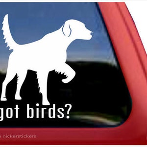 Masz ptaki? | DC507GOT | Wysokiej jakości naklejka na okno z winylu samoprzylepnego English Setter Solid