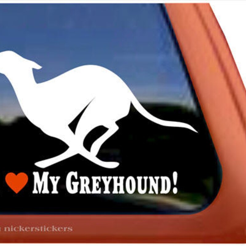 Greyhound Puppy - Etsy