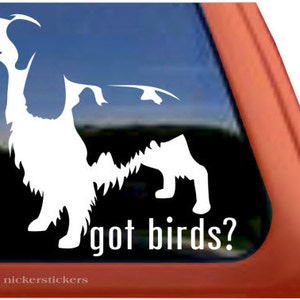 Got Birds - Springer | DC297SP1 | High Quality Adhesive Vinyl Window Decal Sticker - 5" tall x 5.5" wide