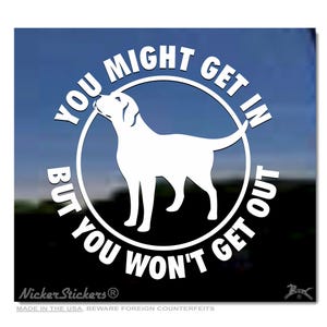 You Might Get In But You Won’t Get Out | High Quality Adhesive Vinyl Window Decal Sticker