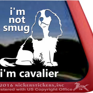 I&#39;m Not Smug, I&#39;m Cavalier | DC1071SP1 | Hochwertige Klebefolie Fensteraufkleber