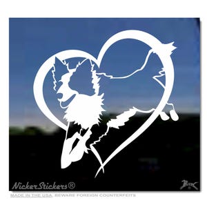 Peut inclure: Silhouette blanche d'un chien Border Collie sautant dans un cœur. L'image est sur un fond bleu. Le texte "Nicker Stickers" est en bas de l'image.