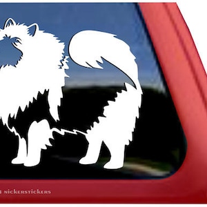 Op de afbeelding: Witte silhouet van een dwergspits die op zijn achterpoten staat met zijn staart om zijn lichaam gekruld. De hond kijkt naar rechts. Het silhouet is op een zwarte achtergrond.