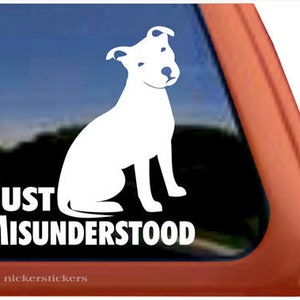 Just Misunderstood | DC715SP1 | High Quality Adhesive Vinyl Window Decal Sticker
