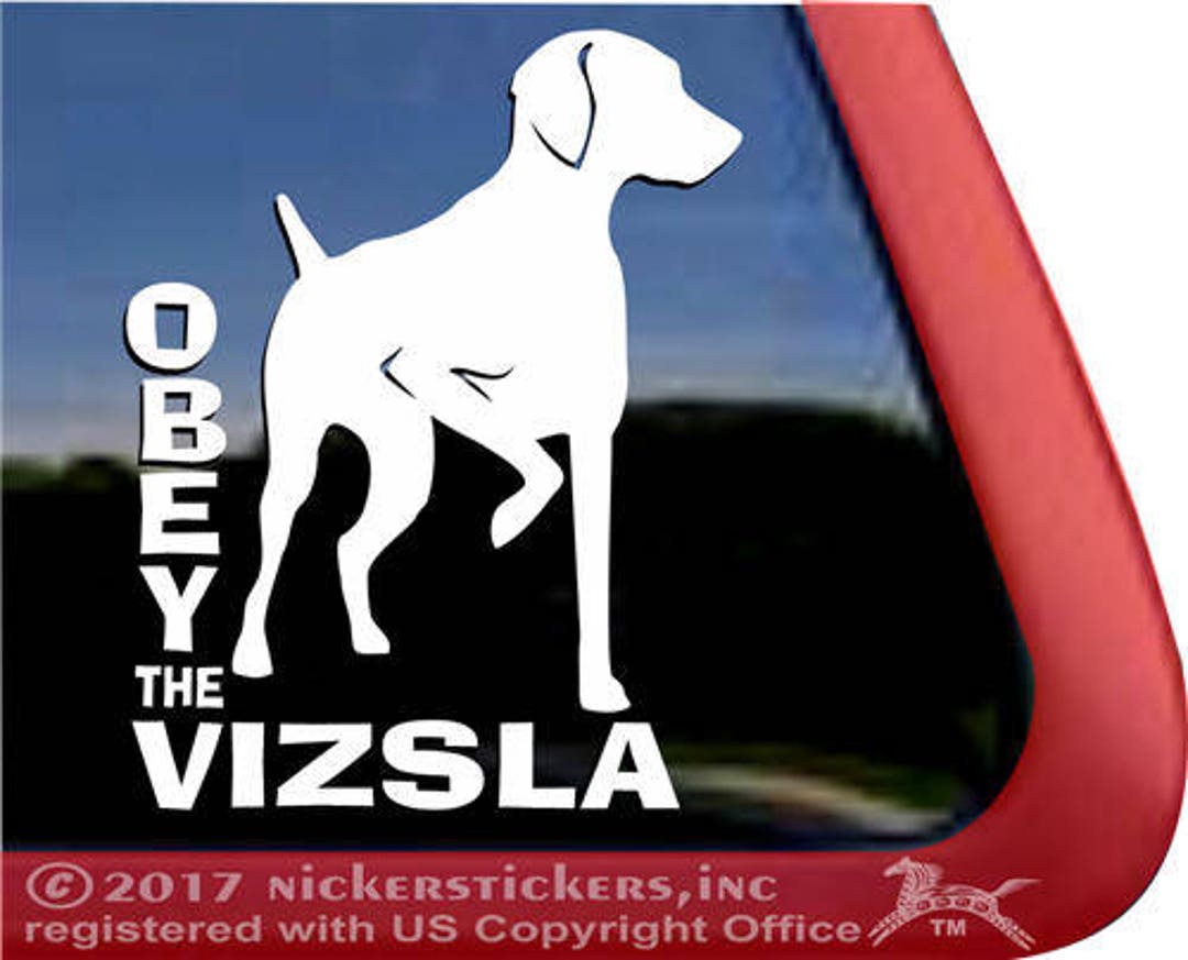 Obey the vizsla hot sale