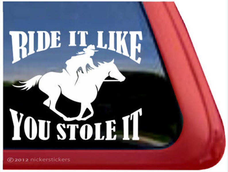 Ride It Like You Stole It DC494SP1 High Quality Adhesive Etsy