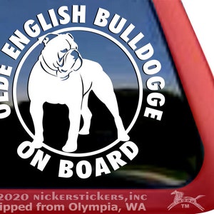 Olde English Bulldogge on Board | DC1336OB | High Quality Adhesive Vinyl Dog Window Decal Sticker