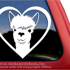 Huacaya Alpaca Love Heart | DC1014HRT | High Quality Adhesive Vinyl Window Decal Sticker
