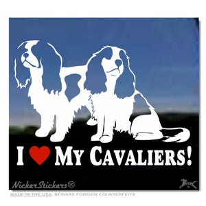 Ich liebe meine Cavaliers! | Hochwertiger, selbstklebender Vinyl-Fensteraufkleber mit Cavalier King Charles Spaniel