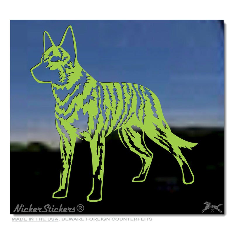 May include: A green silhouette of a dog standing on a black background. The dog is a breed known as a  "Carolina Dog" and is a rare breed native to the southeastern United States. The silhouette is stylized with a jagged, lightning-like pattern.