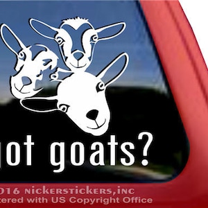 Got Goats? | DC105GOT | High Quality Adhesive Vinyl Nigerian Dwarf Goats Window Decal Sticker