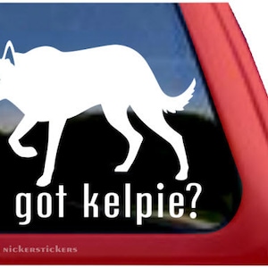 May include: White silhouette of an Australian Kelpie dog with the text "got kelpie?" on a black background. The image is on a red car window.