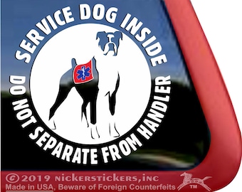 Cane da assistenza all'interno, non separarsi dal conduttore - Boxer / DC323SV-DI / Adesivo per finestrino in vinile di alta qualità NickerStickers®
