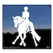 see more listings in the Horses & Mules section