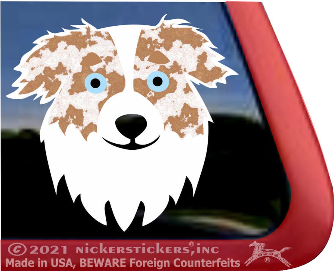 Red Merle Aussie Face | DC1401PLRM | High Quality Australian Shepherd ...