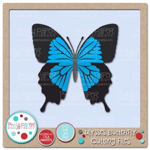 Ulysses Butterfly Cutting Files & Clip Art - Instant Download