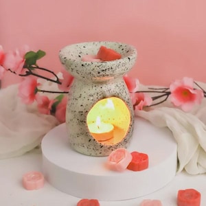 Sweet Blossom Wax Melts with Ceramic Wax Burner | Rose & Violet Scented Wax Melts Gift Set | Floral Home Fragrance | Includes Diffuser | 80g