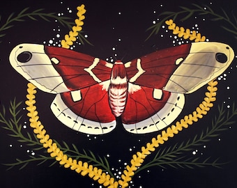 Moth Art -  Print