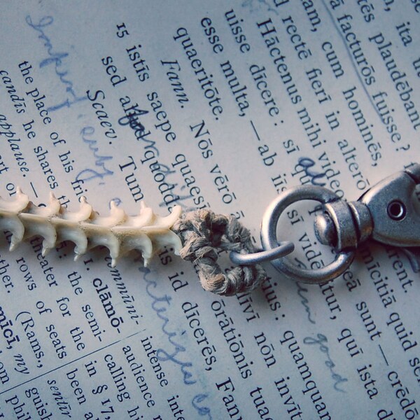 Rattlesnake Spine Vertebrae Keychain