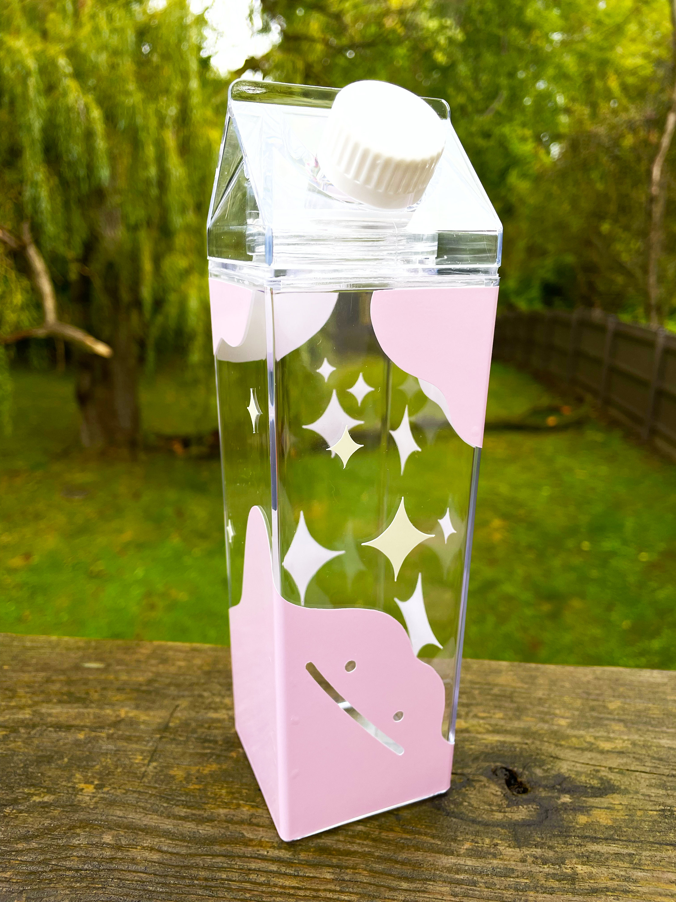 Crystal Pattern Milk Carton Water Bottle Cute Milk Carton 